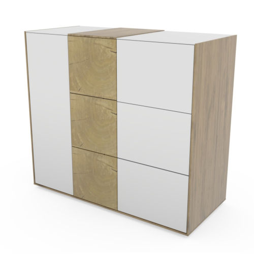 Hartmann Caya Stauraumschrank 4099