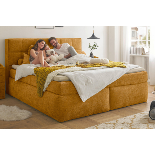 ED Lifestyle Boxspringbett Michigan