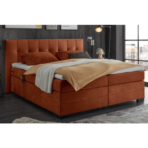 ED Lifestyle Boxspringbett Talena