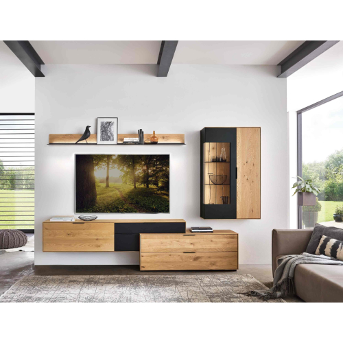 Wöstmann WM 2140 Wohnwand-Kombination 0005 | 0105