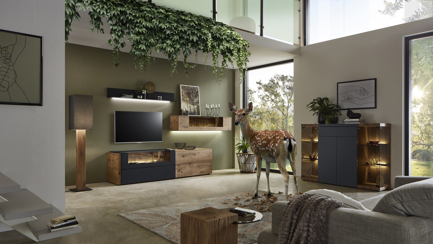 Hartmann Möbel: Natur trifft Design – Qualität aus Deutschland