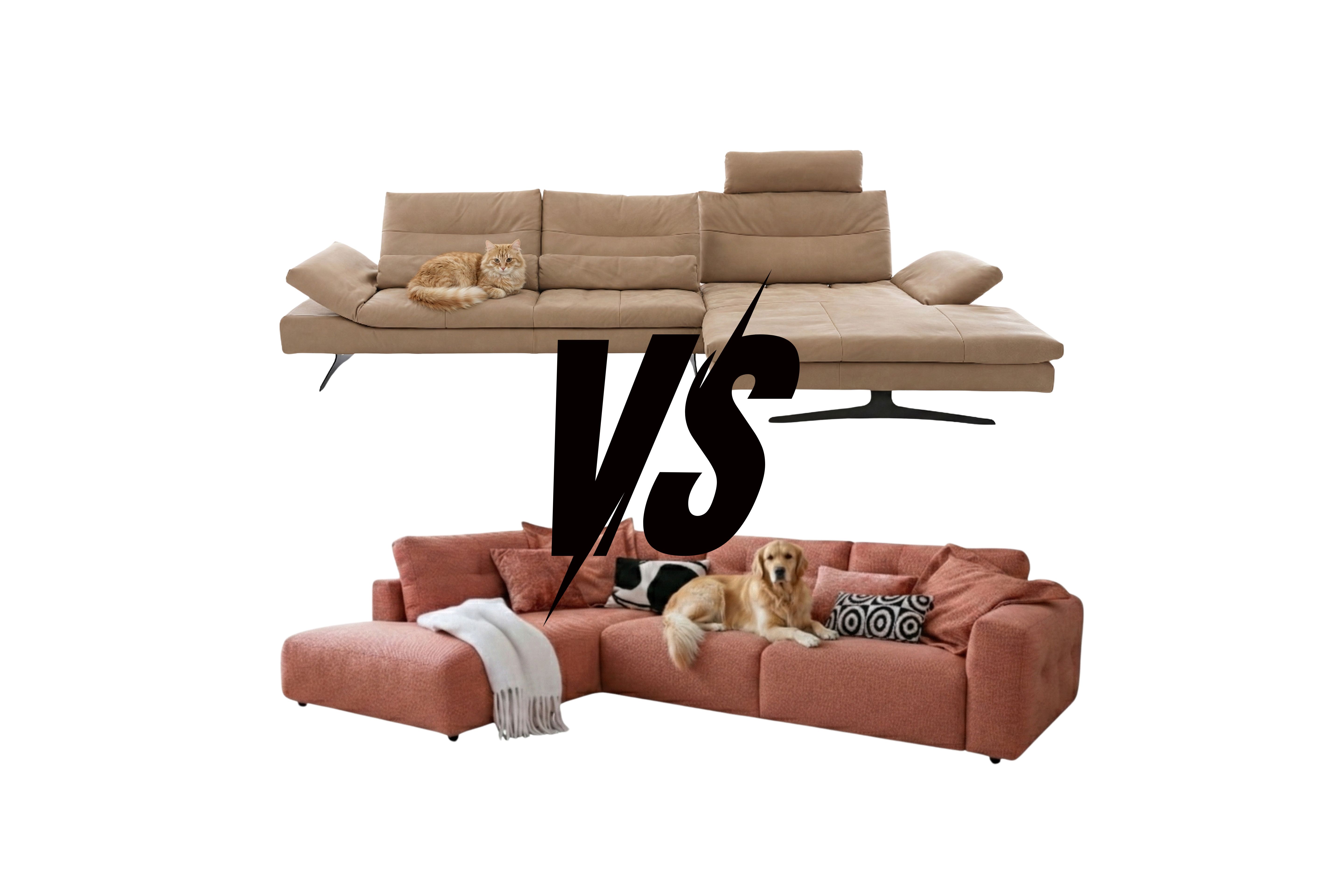 Leder vs. Stoff Sofa Vergleich für Haustierbesitzer: Beige Ledercouch und rötliches Stoffsofa im Härtetest mit Hund und Katze.